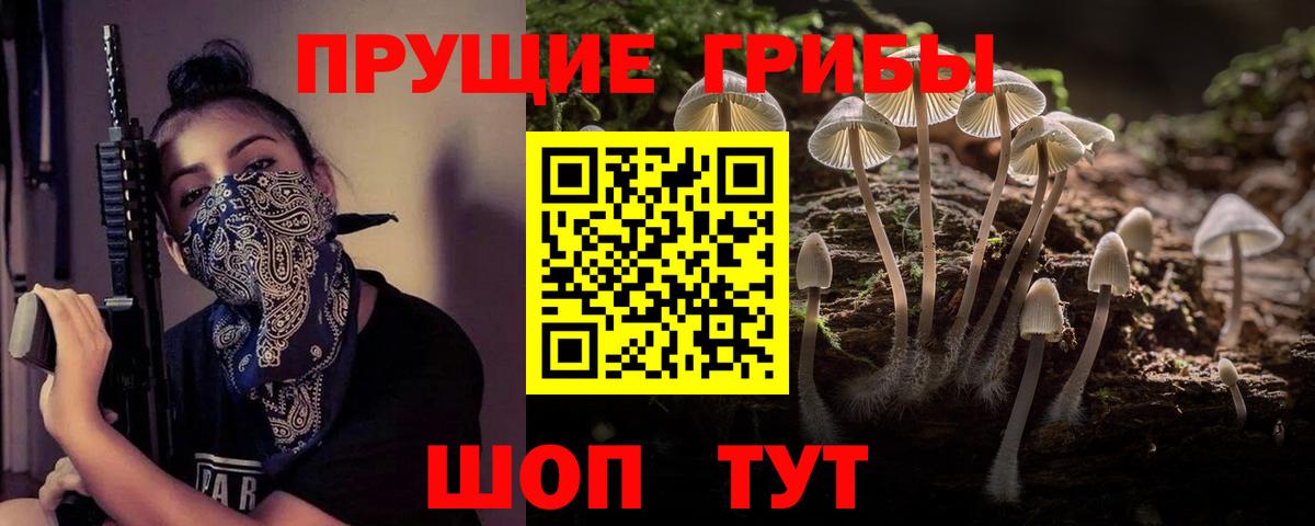 Отрадное  Галлюциногенные грибы Magic Shrooms  Псилоцибиновые грибы MAGIC MUSHROOMS  Вход с VPN 